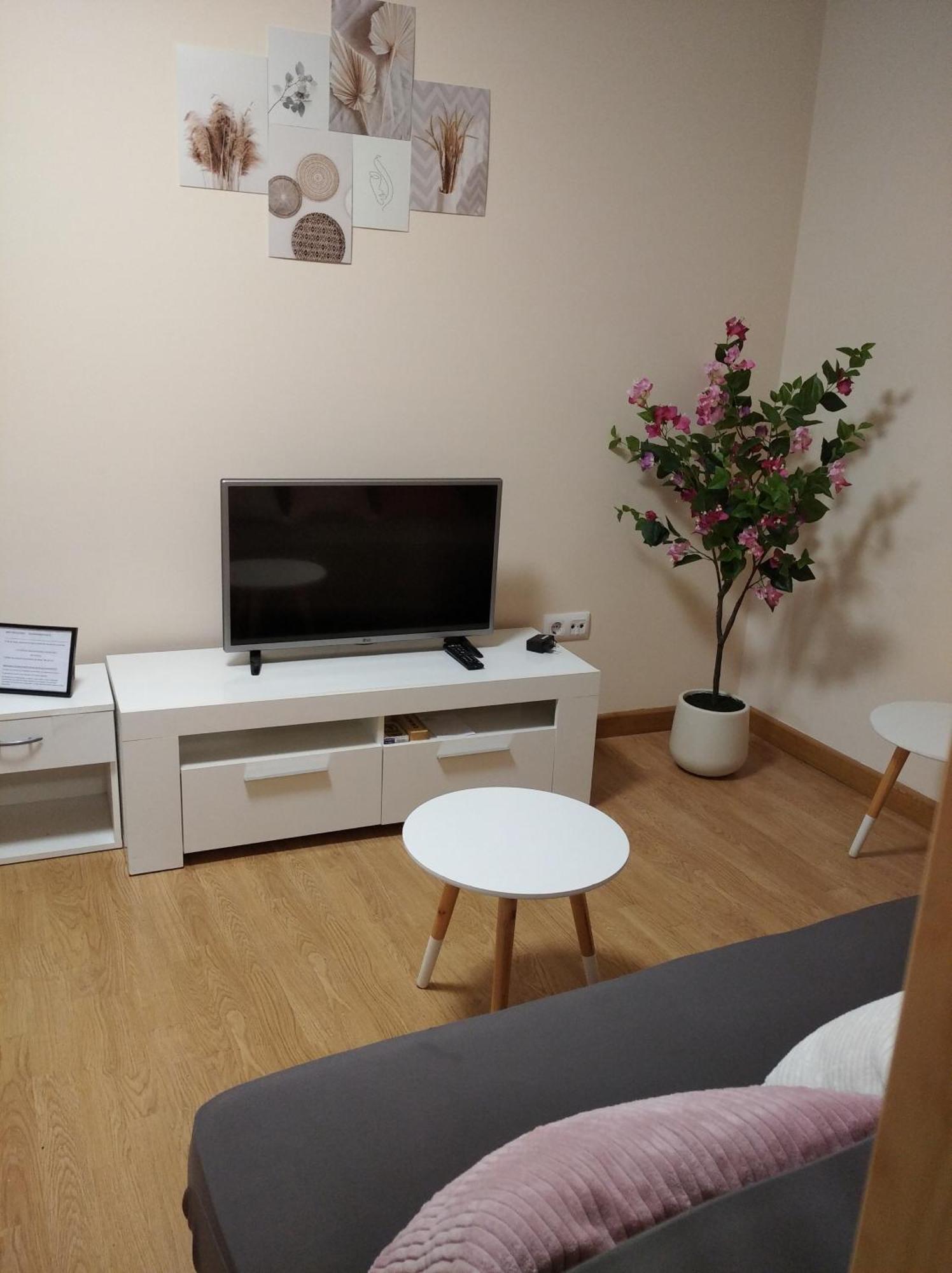 Castelao Apartments Arzúa 外观 照片